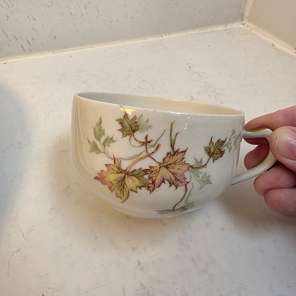 Antique Haviland France Limoges Autumn Leaf Schleiger 196 Set of 7 PLEASE READ